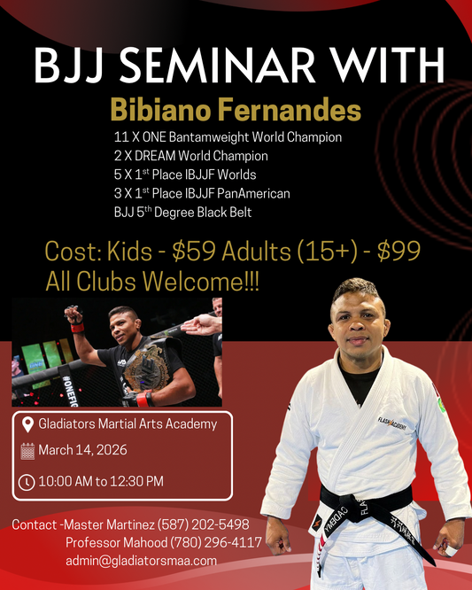 BJJ Seminar /w Bibiano Fernandes